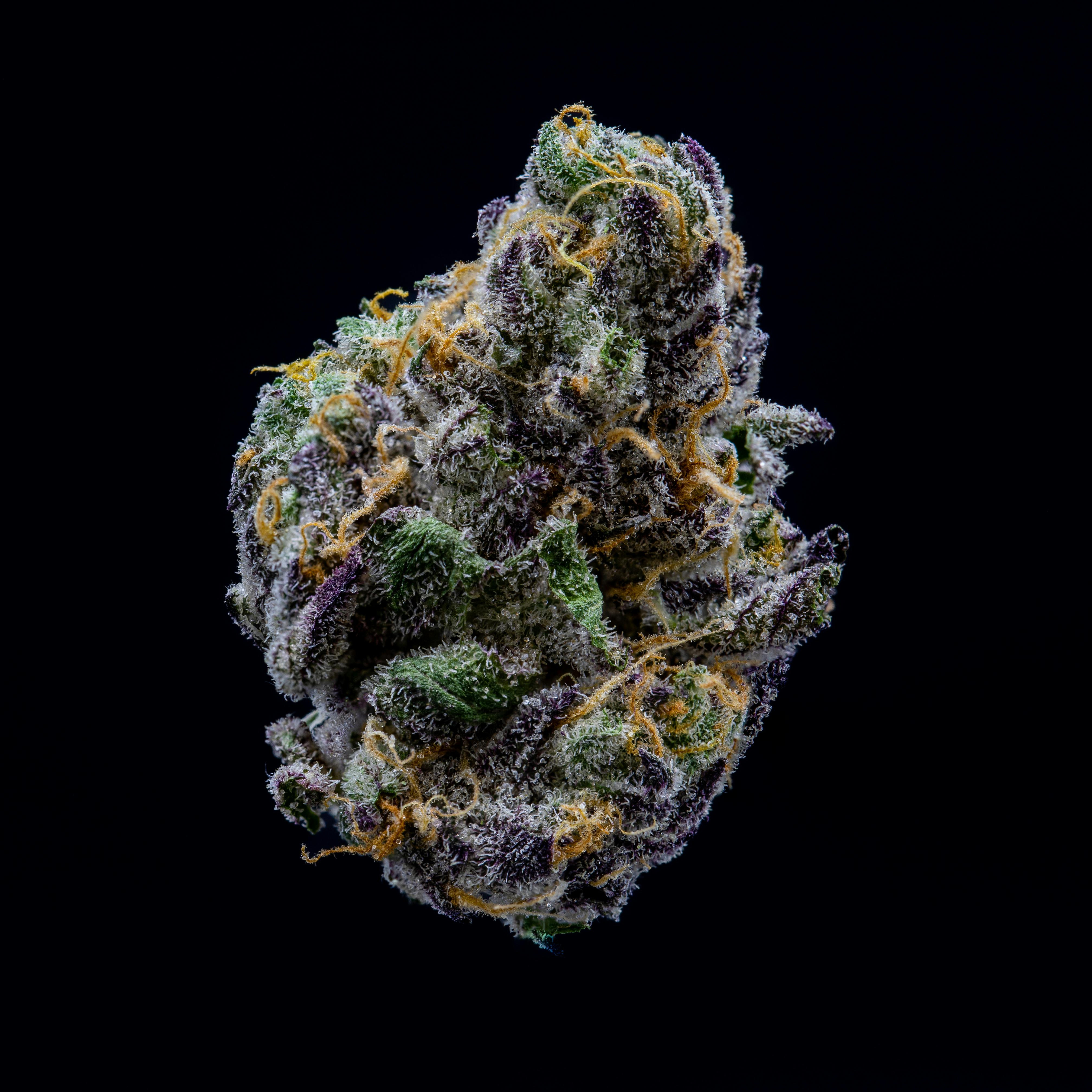 NOBO Smalls Flower 14g - Blockberry