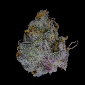 Nobo Flower 14g - Ricky Bobby
