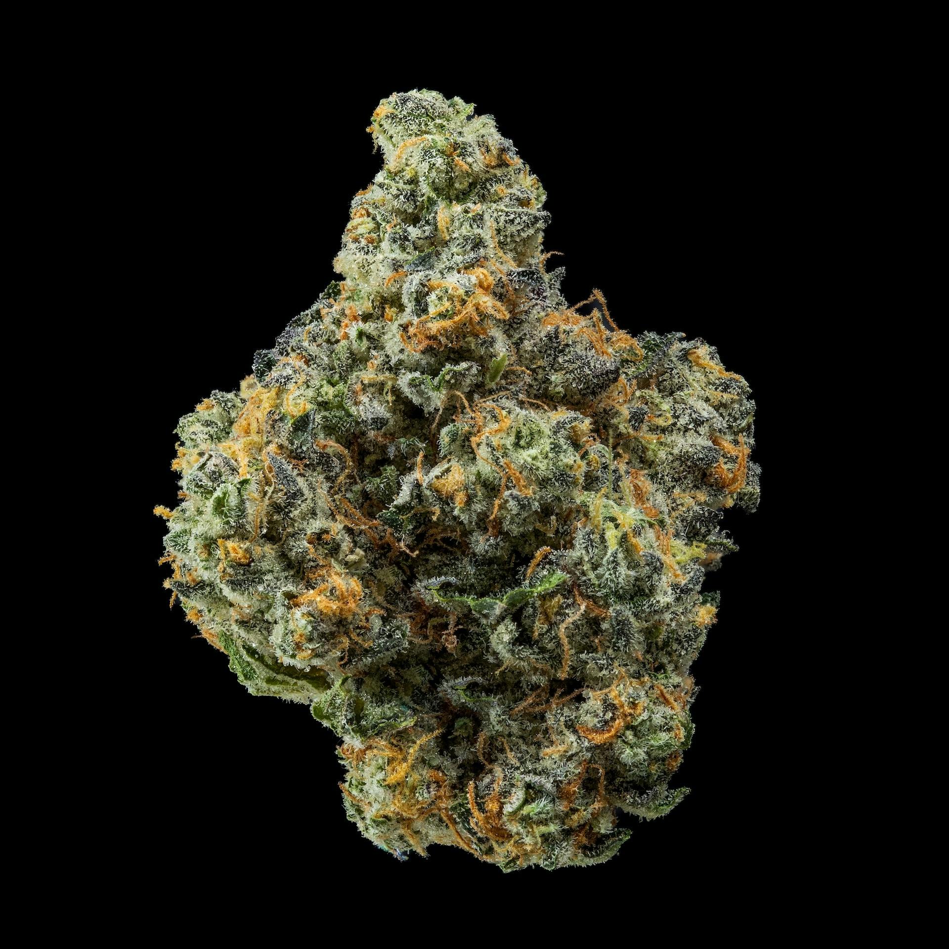 NoBo Flower 14g - Hippie Crasher