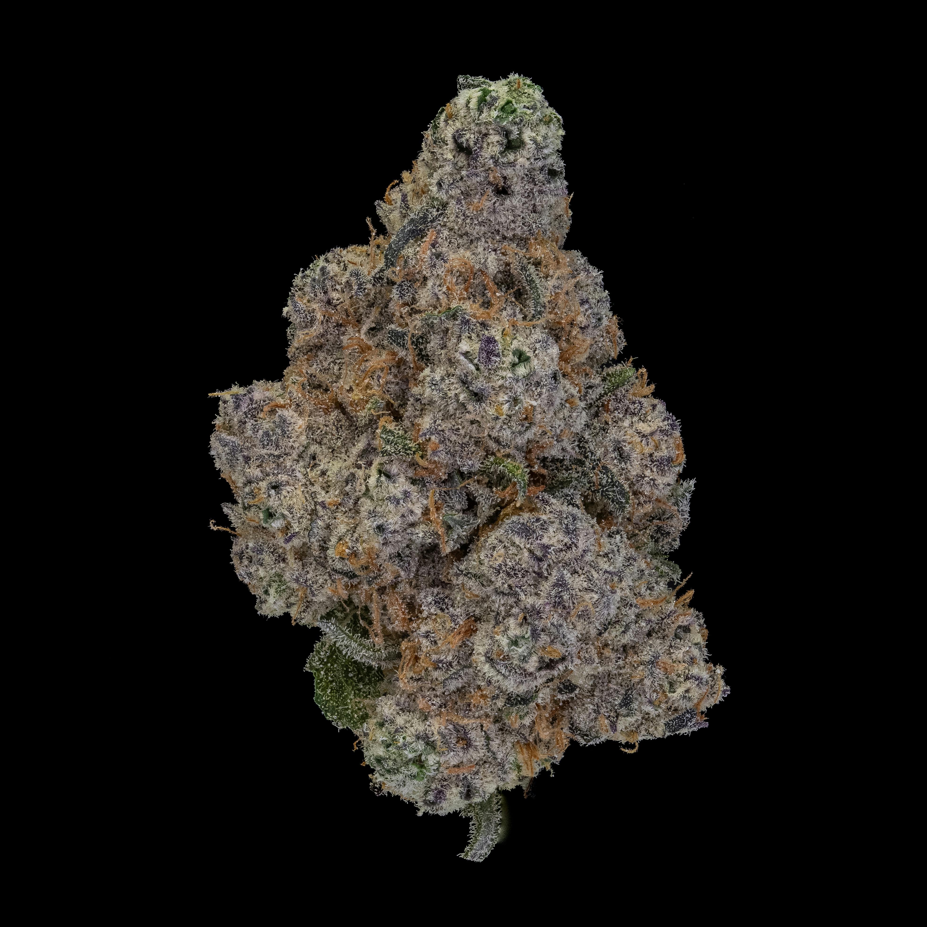 NoBo Flower 3.5g - Deep Space