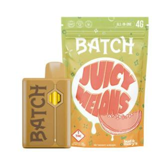 Batch | 4g Disposable | Juicy Melons