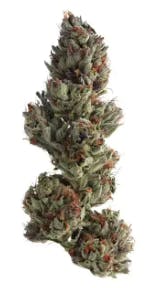 Runtz | 1/8oz Flower at The Cannabis Co.
