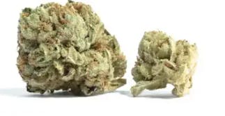 Pine Soul | 1/8oz Flower