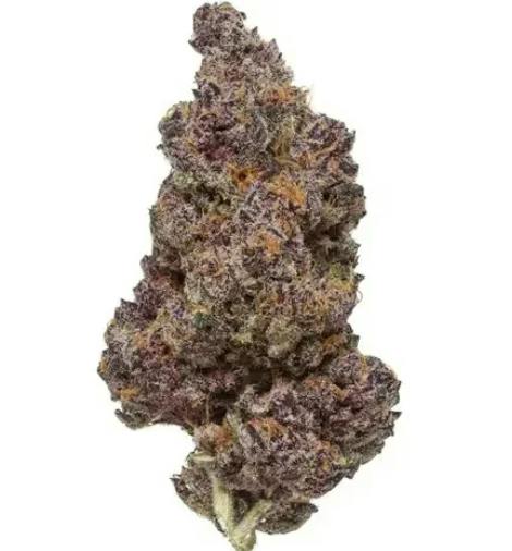 Tropicana Cherry | 1/8oz Flower