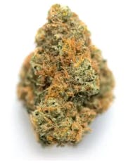 Orange Runtz | 1/8oz Flower