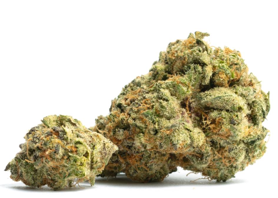 Terp Poison | 1/8oz Flower