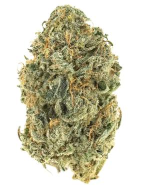 Barnyard High Test | 1/8oz Flower