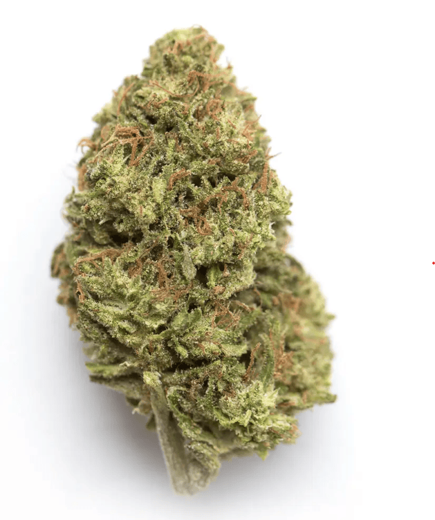 Poison Gushers | 1/8 oz Flower at The Cannabis Co.