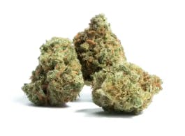 Pink Lemonade | 1/8oz Flower at The Cannabis Co.
