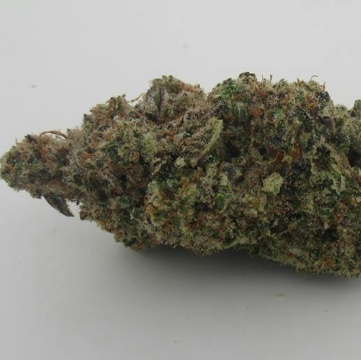 DNK | Cap Junky | Flower
