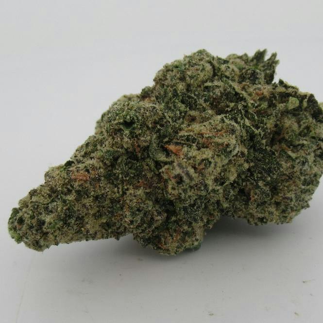 DNK | Florida Kush | Flower