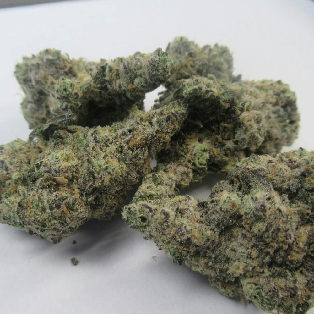 Fg Durban Mintz