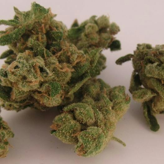 Ac Rum Cakez #2 Small Bud