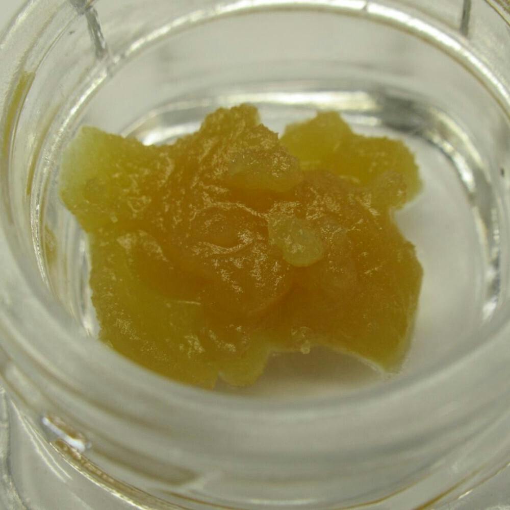 BH | Zep | Live Resin Badder | 1g