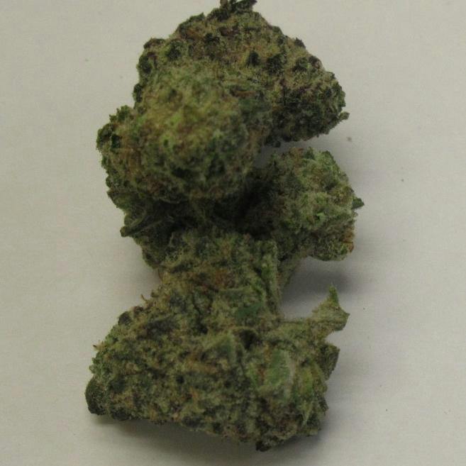 MIFL | Smash Daddy | Small Bud Flower