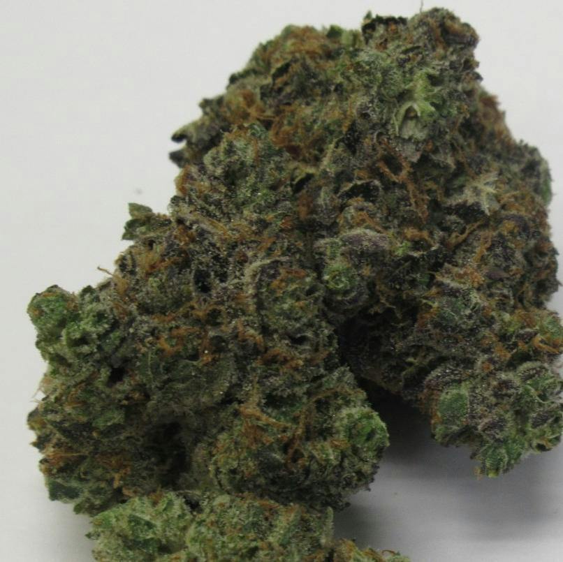 Narvona | White FIre | Flower