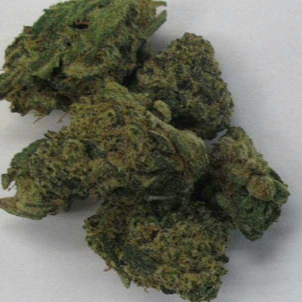 Ac Point Break Small Bud