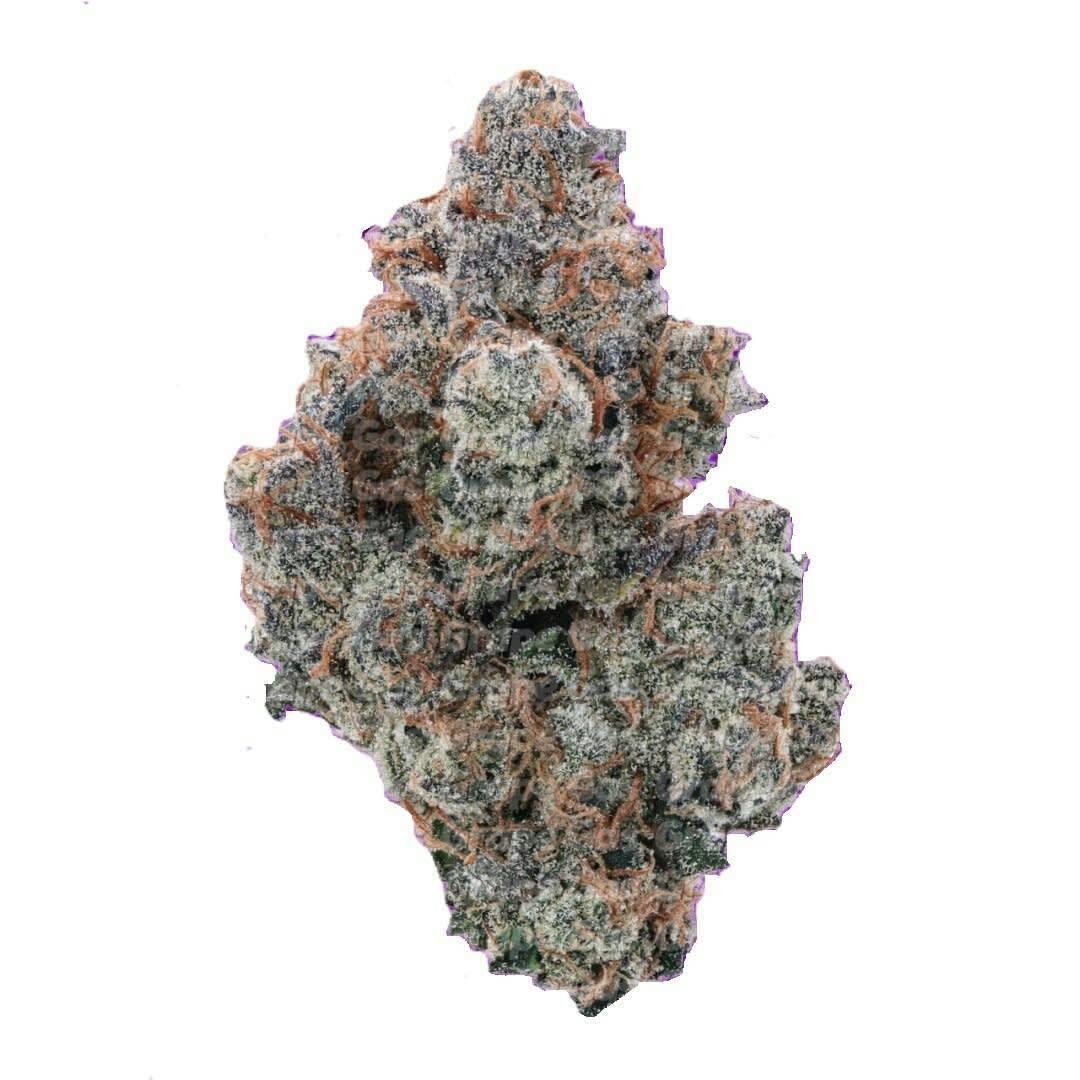 Grape Gas 3.5g Dried Flower