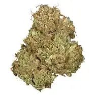 Jean Guy THC CBD Balanced 3.5g Dried Flower