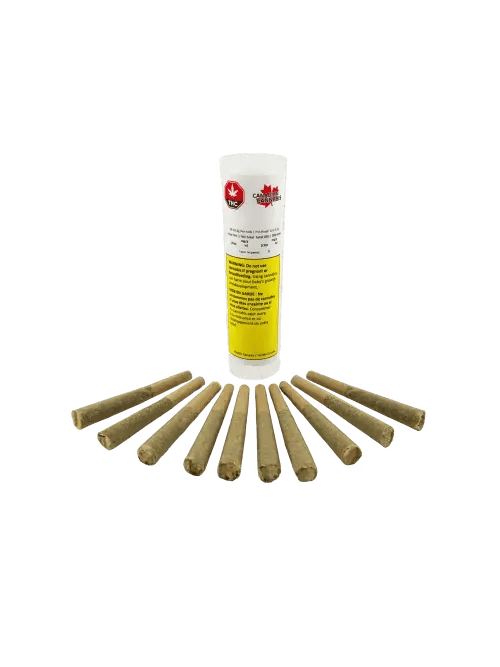 Organic Orange Crush 10 x 0.5g Pre-Rolls