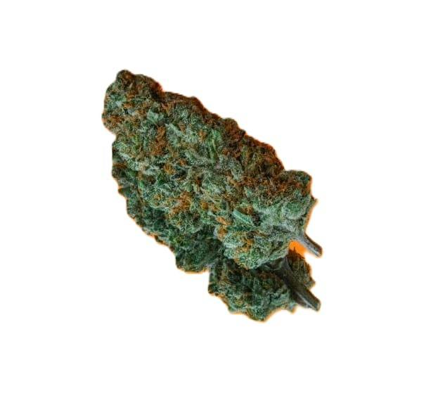 C99 Haze 7g Dried Flower