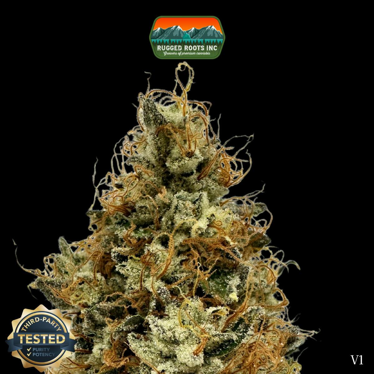 Rugged Roots | Nitro Fumez Dime Bag at Rugged Roots Trading Post- Bangor