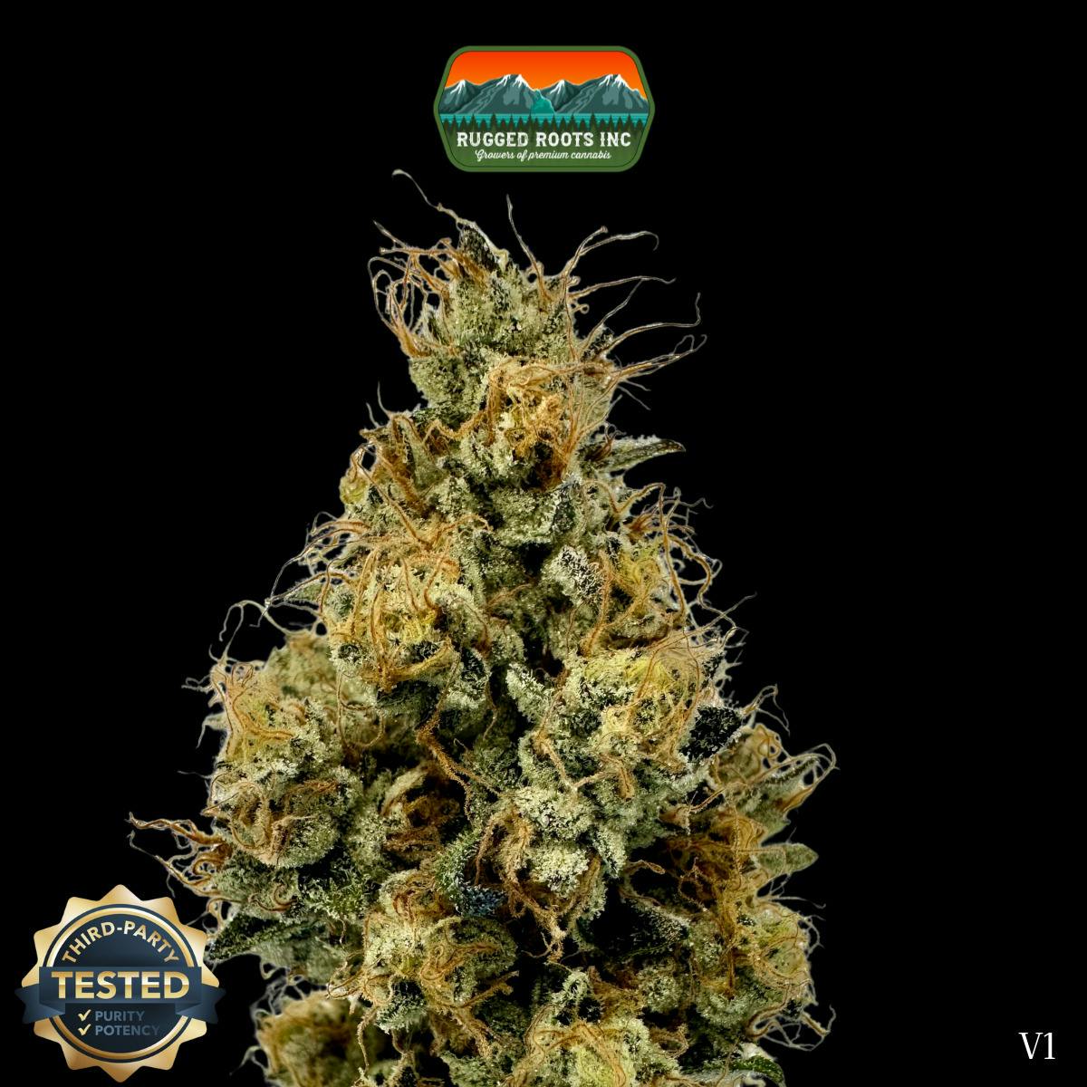 Rugged Roots | Khalifa Kush
