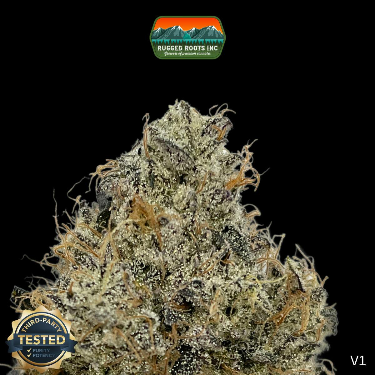 Rugged Roots | Edo G Dime Bag at Rugged Roots Trading Post- Bangor