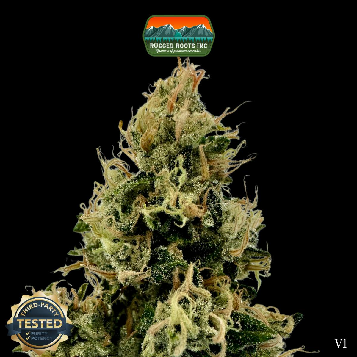 Rugged Roots | Hollywood Hairband Dime Bag at Rugged Roots Trading Post- Bangor