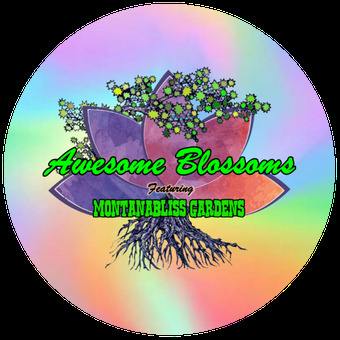 Awesome Blossoms - Mega Certs Sugar cannabis product