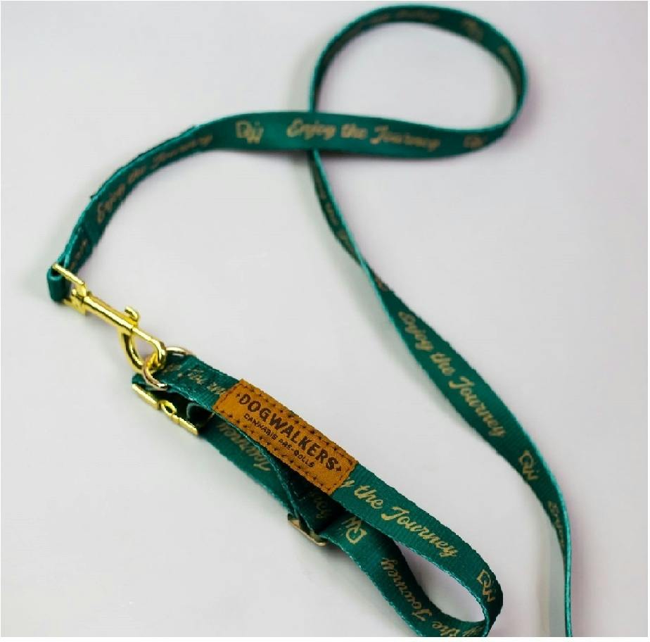 DW Leash & Collar Set