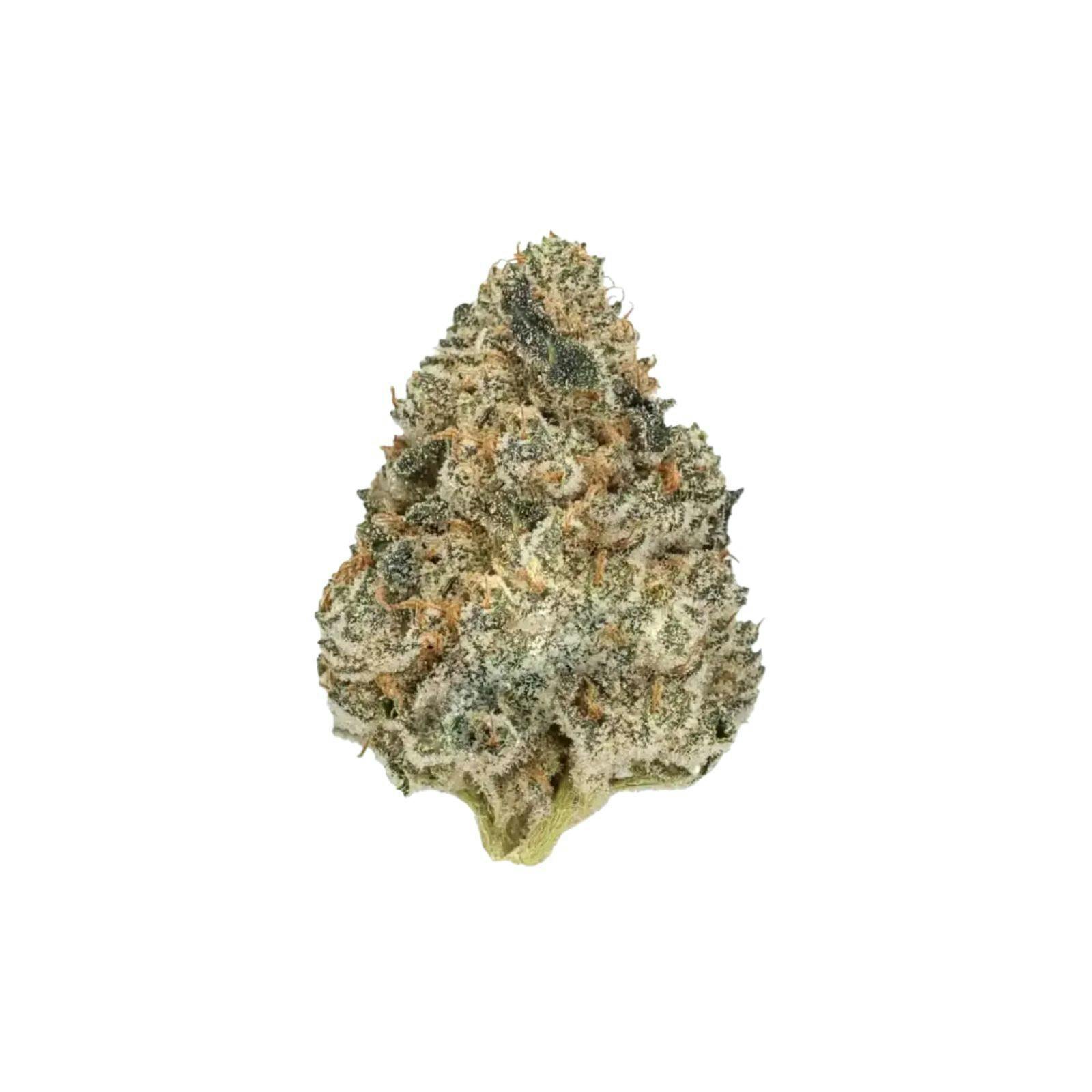 Silver Shelf - Ice Cream Blues (H) at Social Dispensary Golden