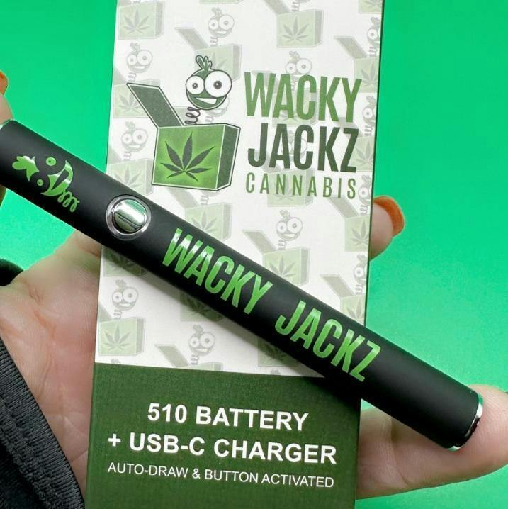 Wacky Jackz Battery With Charger