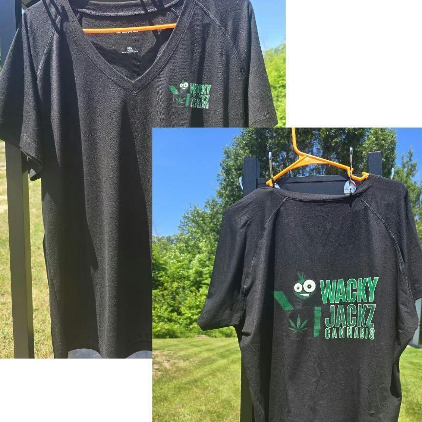 Performance V-Neck T-Shirt