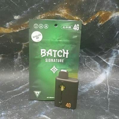 Batch | 4g Signature AIO - Skywalker 600
