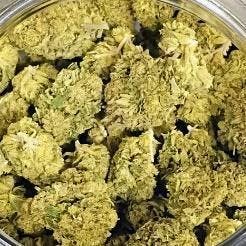 White Tahoe Cookies Indica Flower