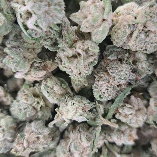 Blunt Cake Greencraft