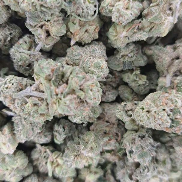 Sparkle Face Indica Flower-GreenCraft