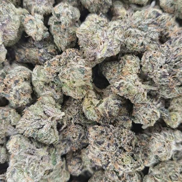 Galactic Warheadz Sativa/Hybrid Flower-Primitiv