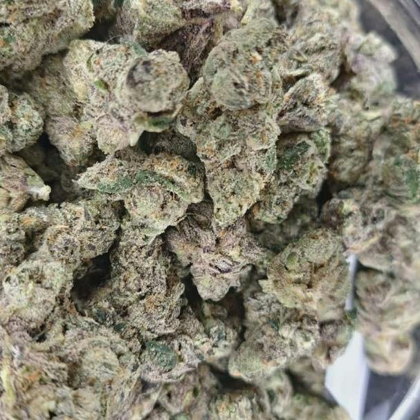 Gelato #33 x Jealousy Indica/Hybrid Flower-Primitiv