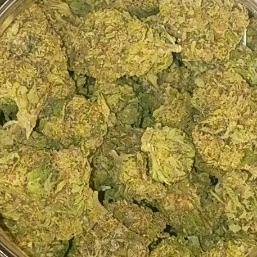 Van Helsing Hybrid Flower-Grasshopper Farms