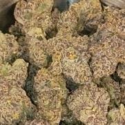Gas Face Indica Flower