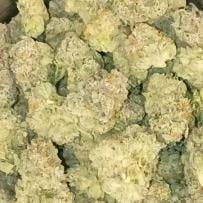 E Dubbalicious Hybrid Flower