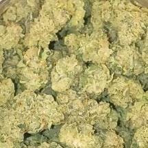 Point Break Sativa Dom Hybrid flower