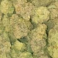 Permanent Marker Indica Hybrid Flower