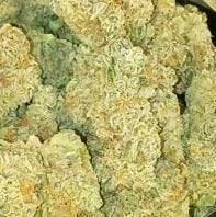 Glacier-Green Crack Sativa Flower