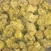 Blue Zushi Indica Flower-Pleasantree