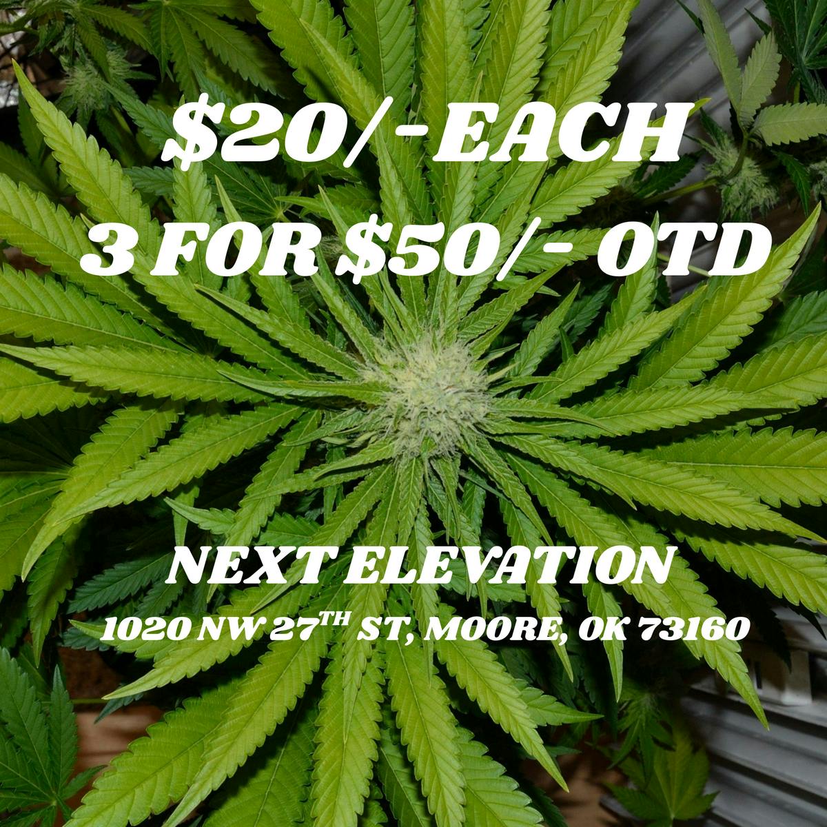 GUMBO $20/OZ