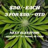 BLUE IVORY $20/OZ