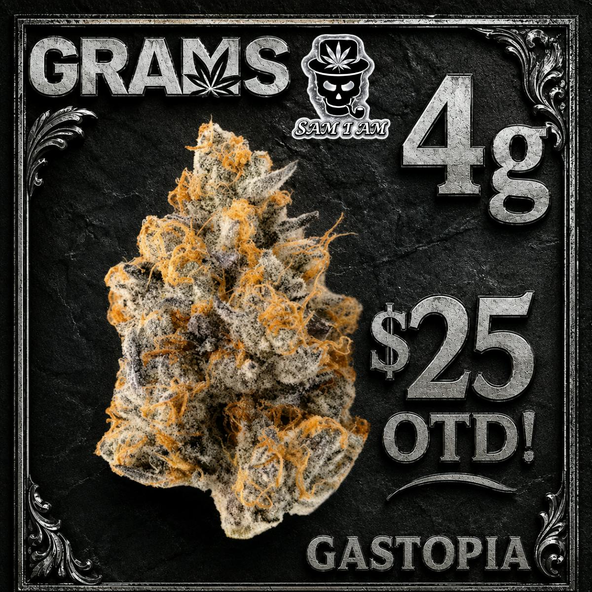 GASTOPIA 4G